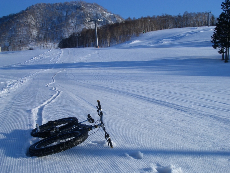 a0242984_11129.jpg
