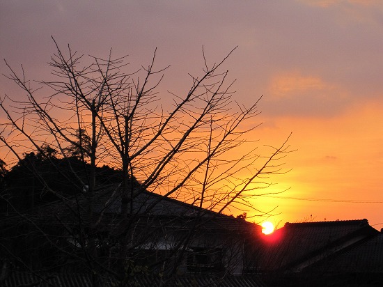 b0182884_0405328.jpg