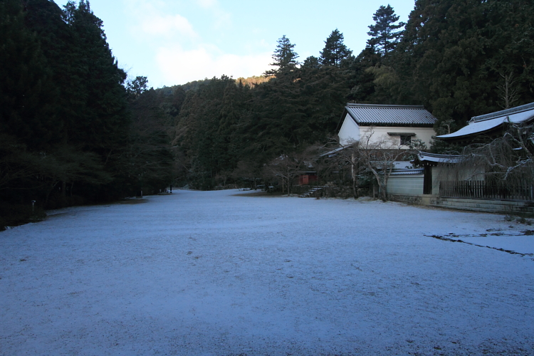 神護寺_e0051888_20382020.jpg