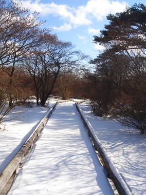 d0125890_21293041.jpg