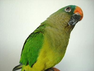 f0234590_995180.jpg