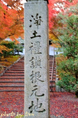 京を歩く～洛東「安楽寺」写真になる寺_b0155692_2264947.jpg