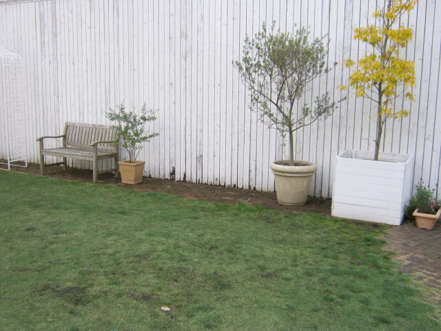 冬の芝生_e0146493_1120269.jpg