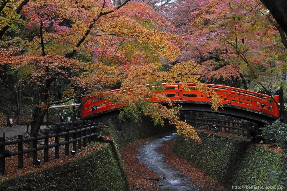 天神さんの紅葉_f0095094_2318483.jpg