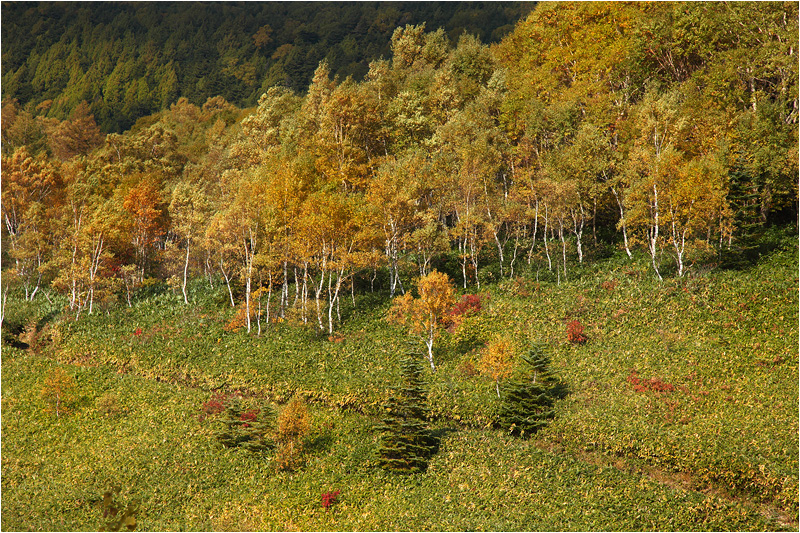 e0031502_21262723.jpg