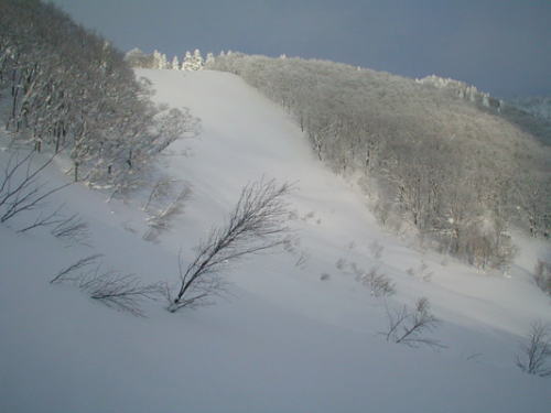 c0076705_7522177.jpg