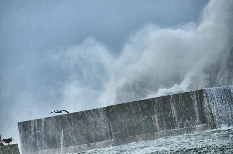 Wave,Life； 日本海の生き方_b0128609_14174966.jpg