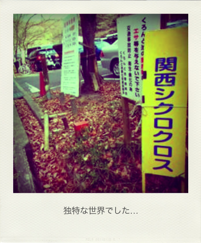 b0183911_21515881.png