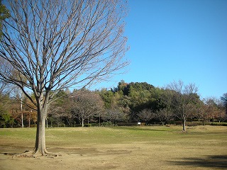 c0141011_2241393.jpg