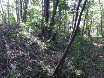 c0051112_15583581.jpg