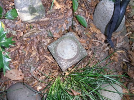 c0051112_15585321.jpg