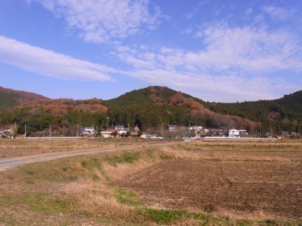 c0051112_1601550.jpg