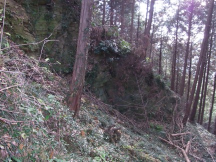c0051112_1613771.jpg