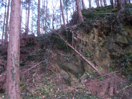 c0051112_162112.jpg