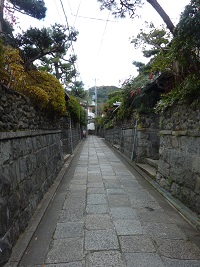 a0177314_756965.jpg