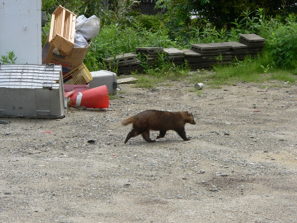 e0002314_2332987.jpg
