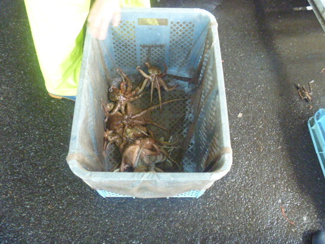 e0193416_13302760.jpg
