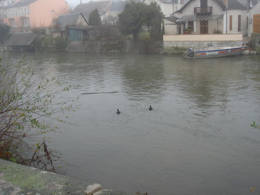c0124619_75385.jpg