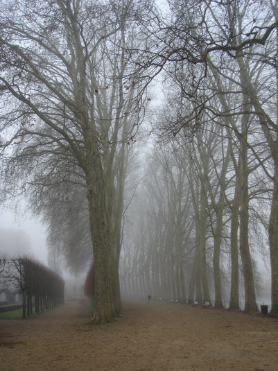c0124619_76981.jpg