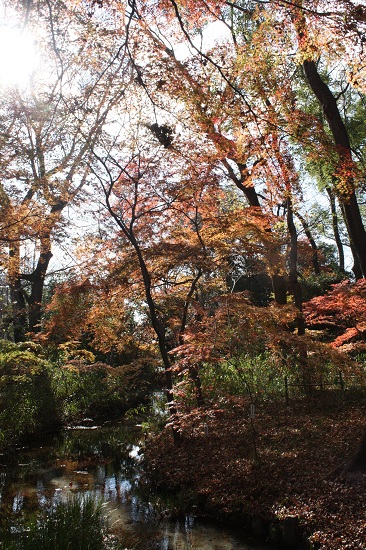 糺の森～下賀茂神社_f0162319_23161286.jpg