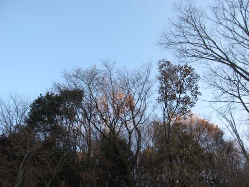 e0244621_2359683.jpg