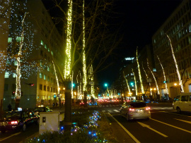 e0241325_611443.jpg