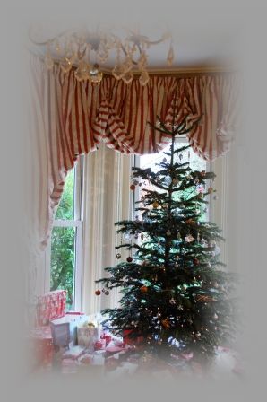 2011年クリスマス♪_d0104926_26534.jpg