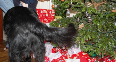 2011年クリスマス♪_d0104926_28961.jpg