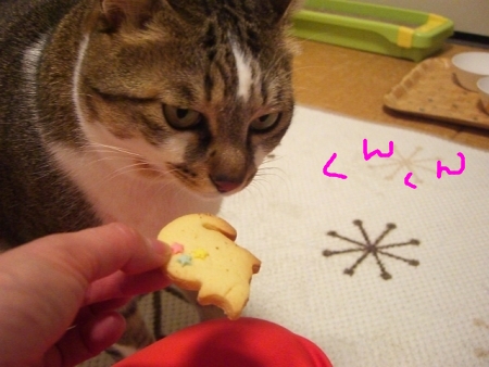 凍り DE 参った_a0099131_127627.jpg