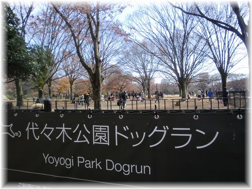 b0206444_1944267.jpg