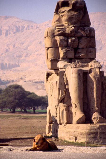 c0181552_816079.jpg