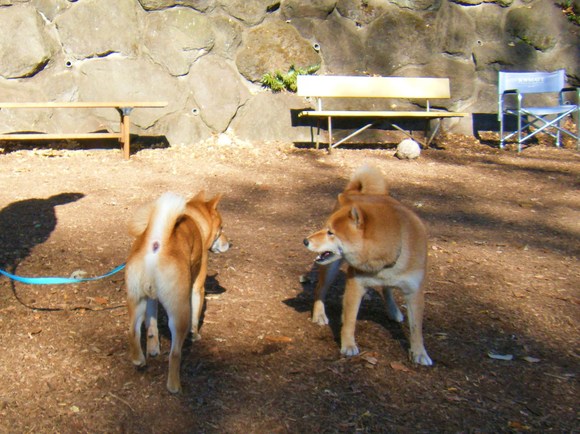 e0241952_1425788.jpg