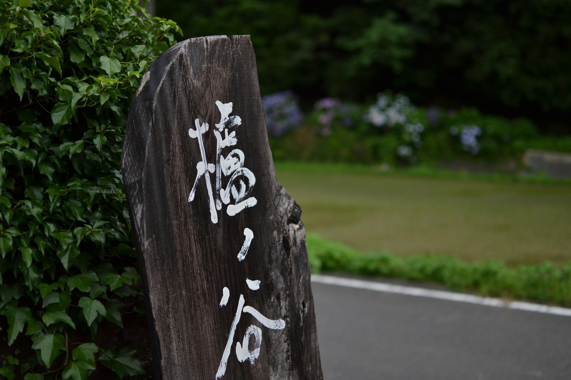 唐津焼 櫨ノ谷窯 吉野靖義 吉野魁 急須 ぐい呑み 湯呑み セット 櫨ノ谷窯とは : 櫨ノ谷便り