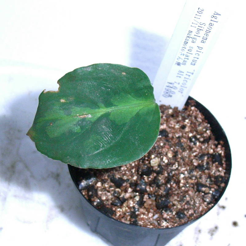 d0249970_0155283.jpg
