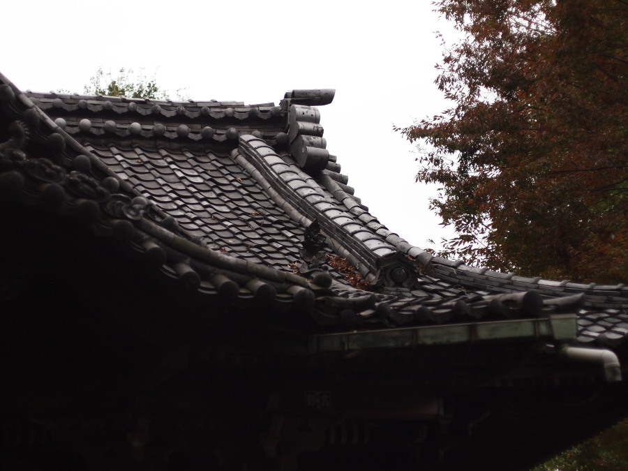 e0163471_17144798.jpg