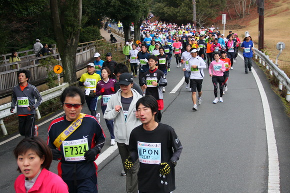 奈良マラソンの写真_c0105280_16235565.jpg