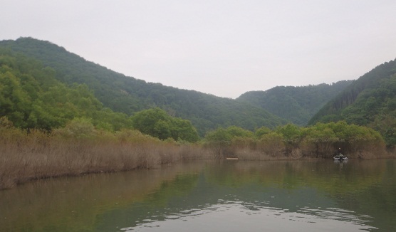 f0135385_20442537.jpg