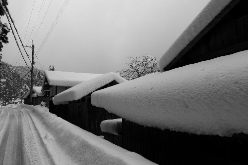 京の雪国を支える男たち。_b0226089_195828.jpg