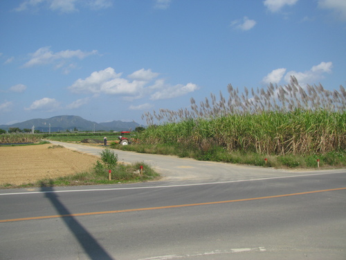 c0064389_1971067.jpg