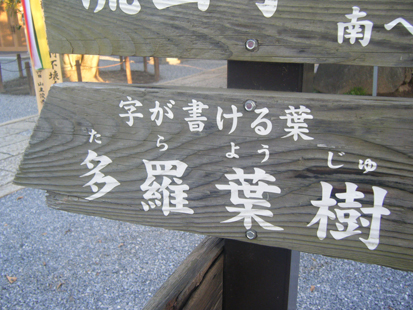 a0128290_22271159.jpg