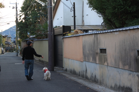 Dooと共に　北上の旅 4　（旅日記最終回）_f0233193_21413130.jpg