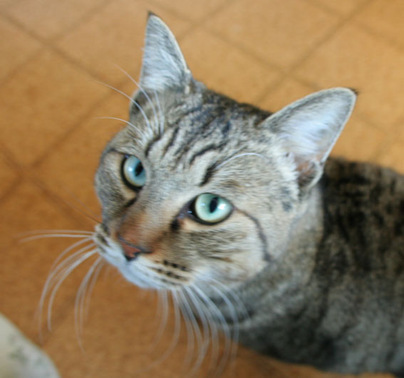 d0071596_2313548.jpg