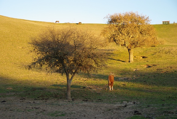 f0038904_5343018.jpg