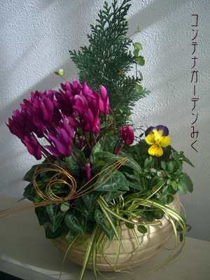 f0217905_1146149.jpg