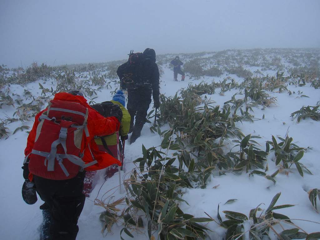 笹ヶ峰　南尾根　新雪ラッセル　_b0124306_2113062.jpg