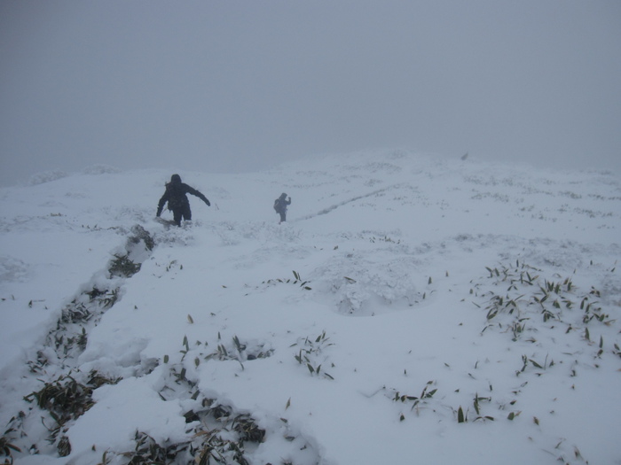 笹ヶ峰　南尾根　新雪ラッセル　_b0124306_22344896.jpg