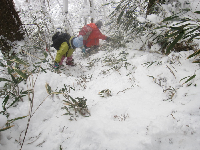 笹ヶ峰　南尾根　新雪ラッセル　_b0124306_232259.jpg