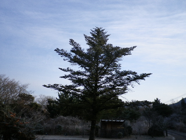 白い世界_e0179508_9192235.jpg