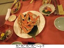 毎年恒例家族忘年会 in 蔵王温泉_c0182012_15582924.jpg