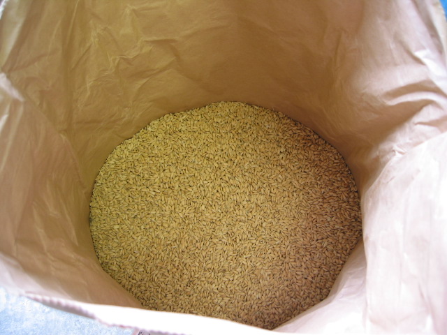 「飼料米 Dec-2011」_a0120513_23281937.jpg